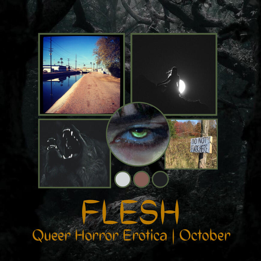 Flesh Moodboard A mood board with a black and white spooky forest background. A grid of four images including a canal in a desert city, an eerie sillouhette in front of a glowing full moon, an arid field with a broken posted sign that reads "do not fuck here", and a black
